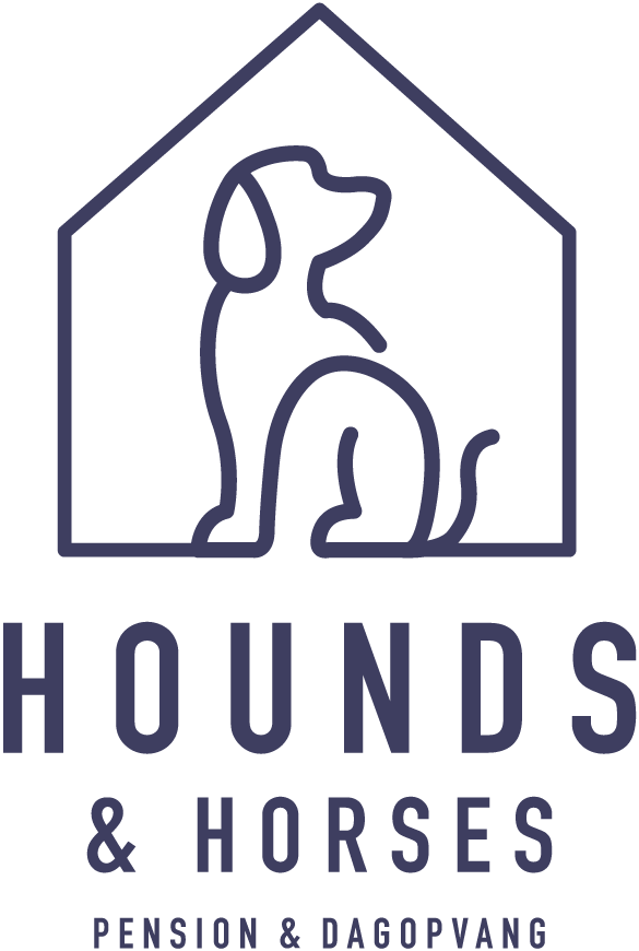 Hounds & Horses